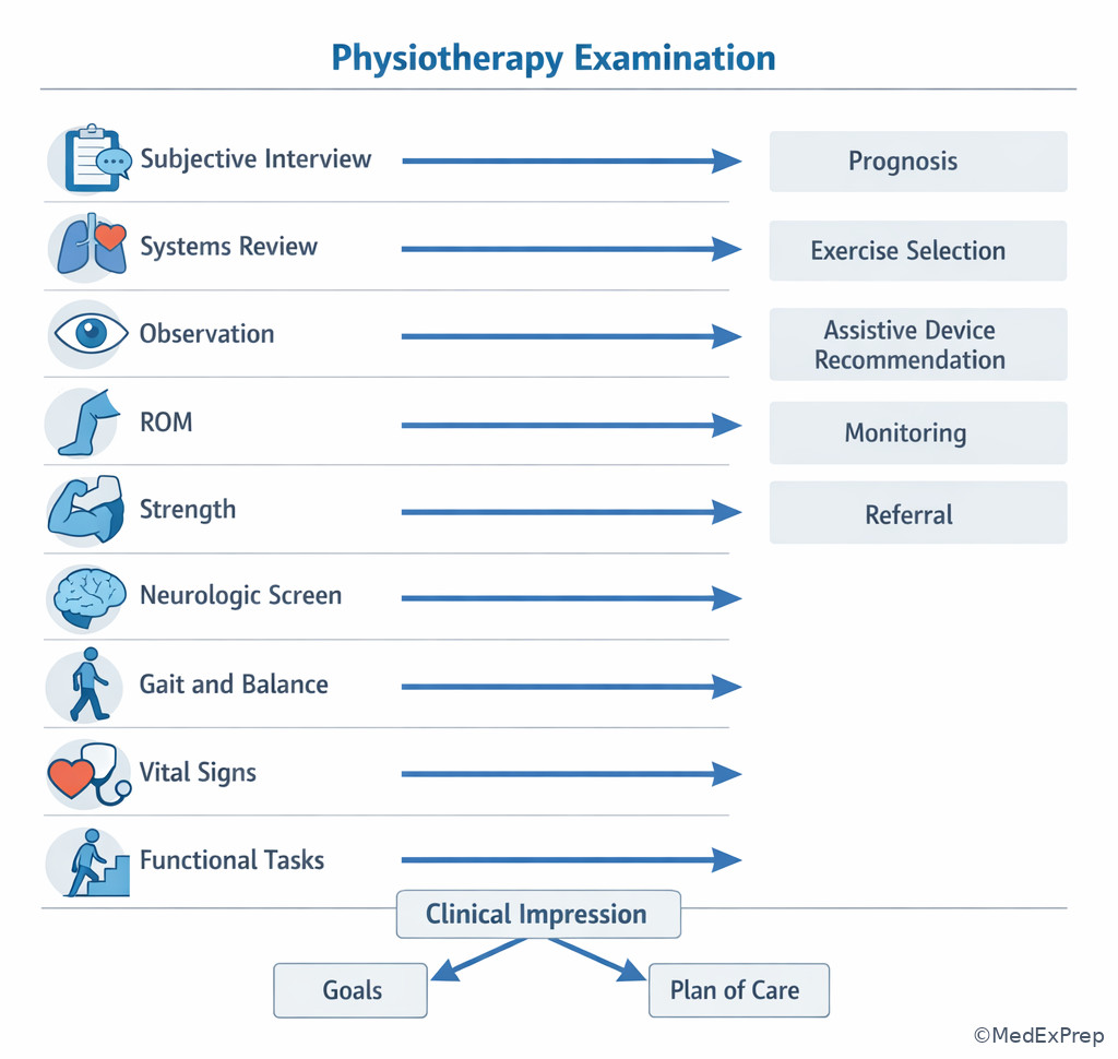 Fig 3. Physiotherapy examination domains and outputs